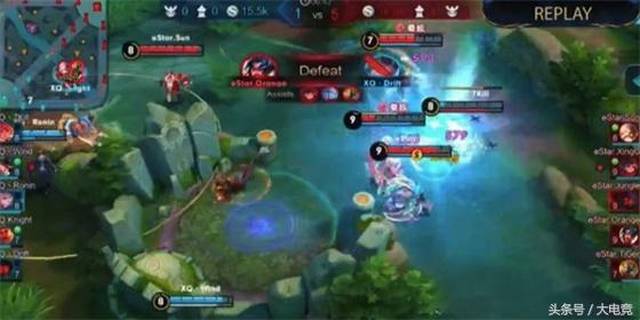 中国胡桃木 中国胡桃木