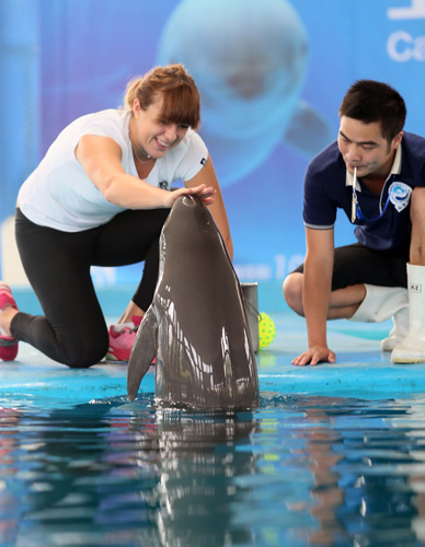 通过对这场 通过对这场