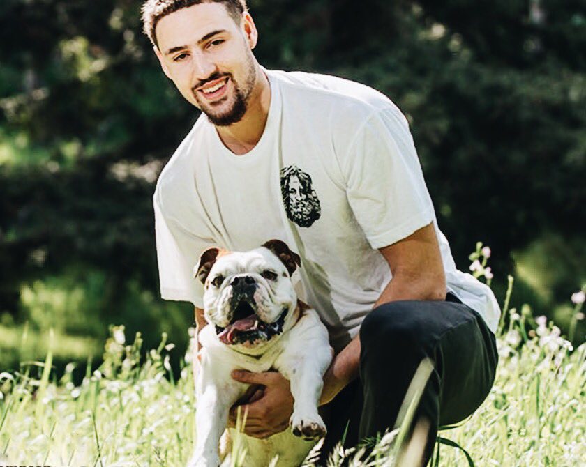 自动化动作 自动化动作